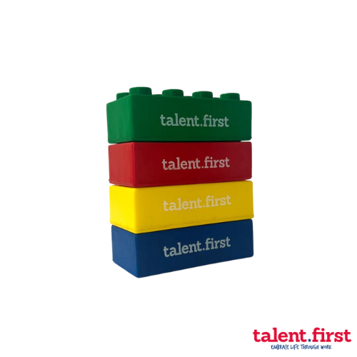 DISC blokken (4 stuks)